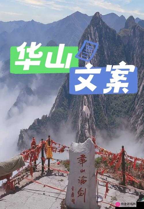 新笑傲江湖手游深度攻略，华山之巅段位全面解析与攀登指南